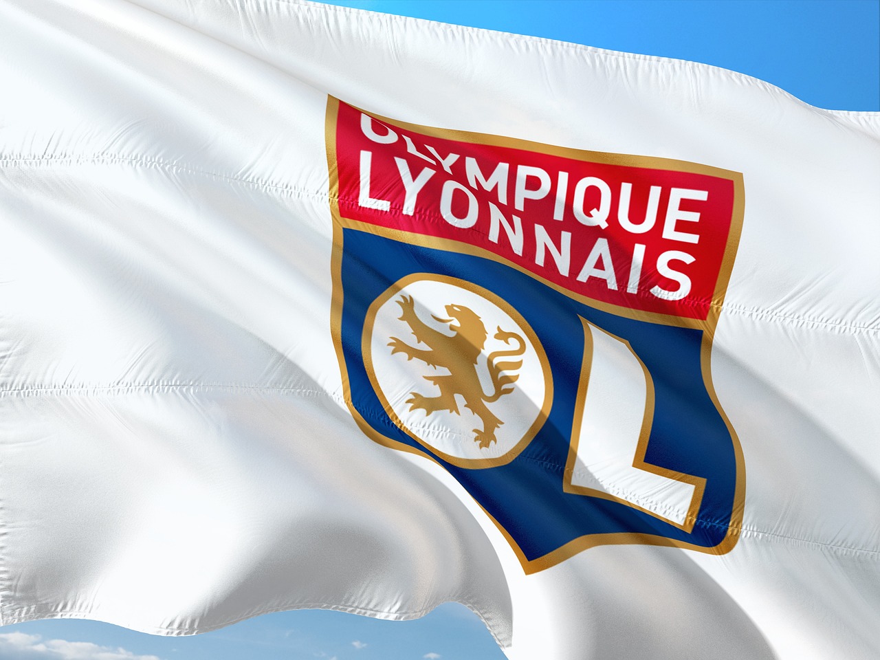 为犯