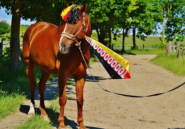 洛杉矶快船以131-116击败黄蜂，哈登55分创队史新高，成为NBA第四位得分超55分的球员，表现惊艳。