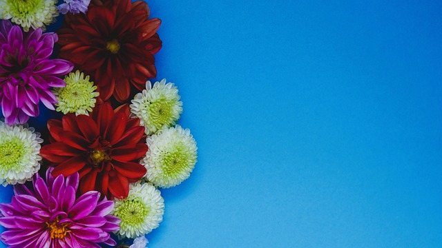 球迷为他唱满整场